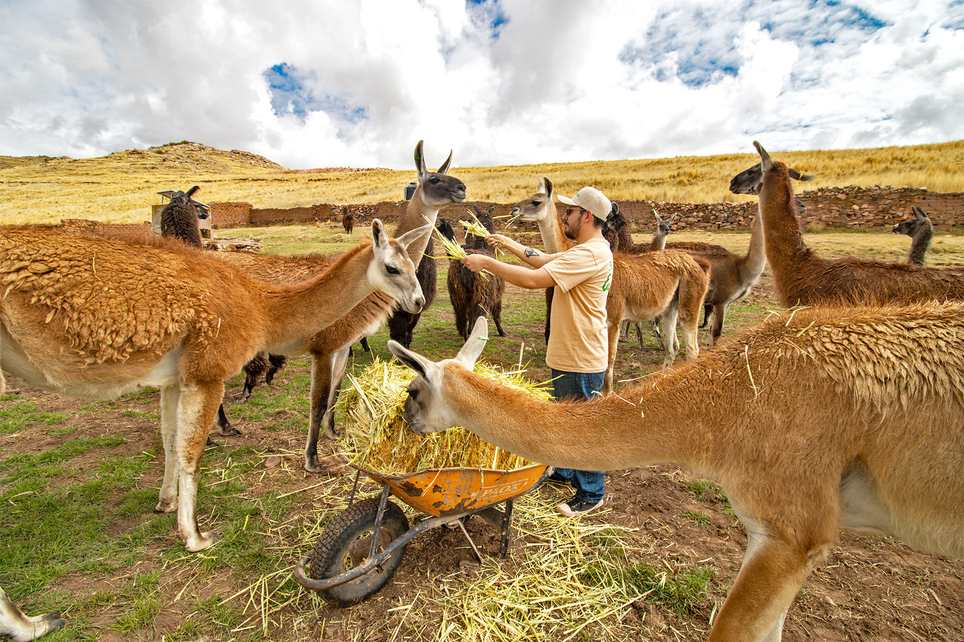 hacienda-esmeralda-about1