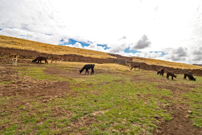 hacienda-esmeralda-about4